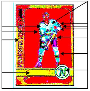 hockey card front